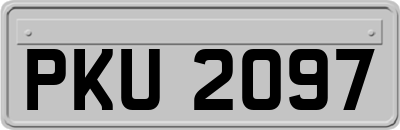 PKU2097