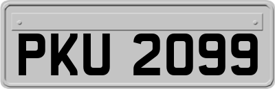 PKU2099