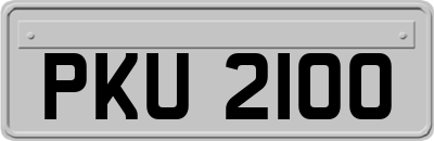 PKU2100