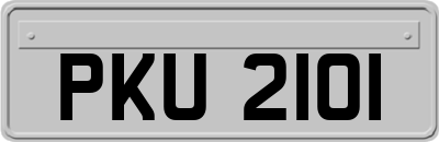 PKU2101