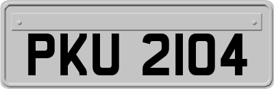 PKU2104