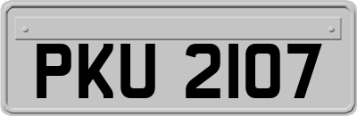 PKU2107