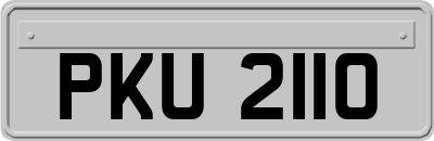 PKU2110