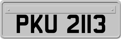 PKU2113