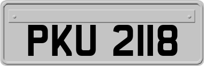 PKU2118