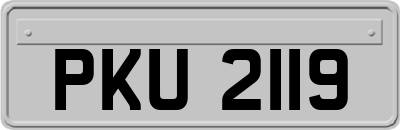 PKU2119