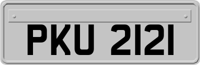 PKU2121