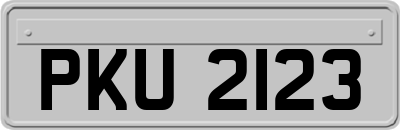 PKU2123