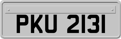 PKU2131