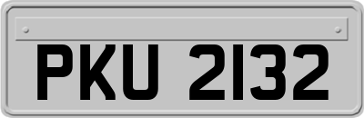 PKU2132