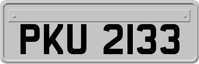 PKU2133