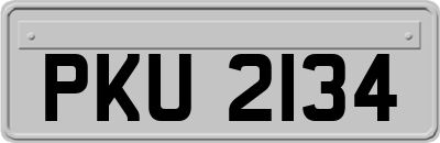 PKU2134