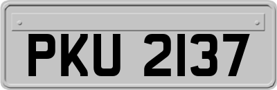 PKU2137