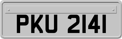 PKU2141