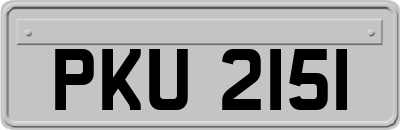 PKU2151