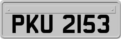 PKU2153