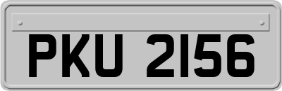PKU2156