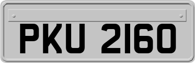 PKU2160