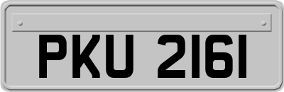 PKU2161