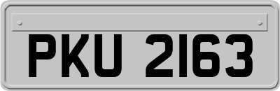 PKU2163