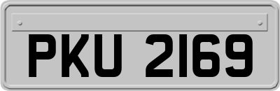 PKU2169