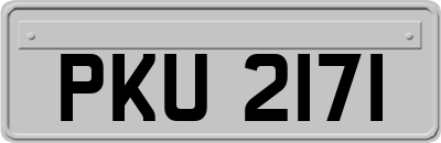 PKU2171