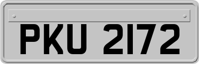 PKU2172
