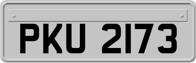 PKU2173