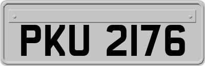 PKU2176