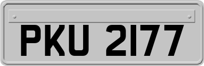 PKU2177