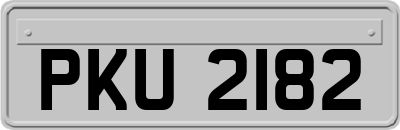 PKU2182