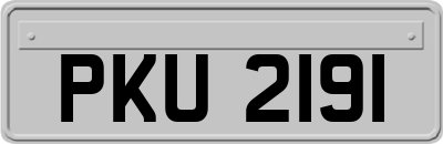PKU2191