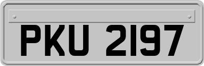 PKU2197