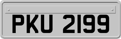 PKU2199