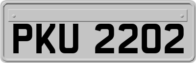 PKU2202