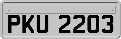 PKU2203