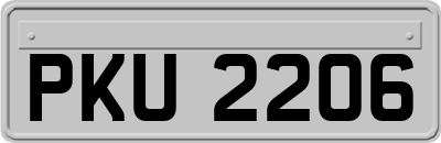 PKU2206