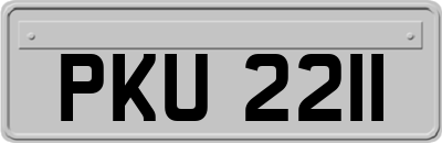 PKU2211