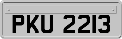 PKU2213