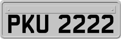 PKU2222