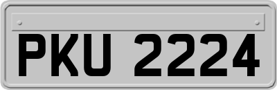 PKU2224