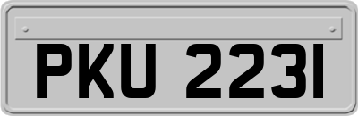 PKU2231