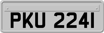 PKU2241