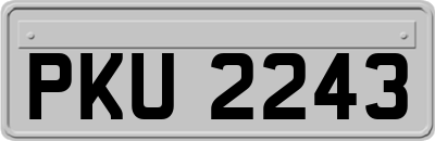 PKU2243