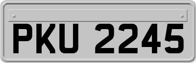 PKU2245