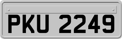 PKU2249