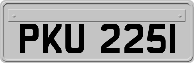PKU2251