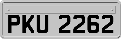 PKU2262