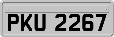 PKU2267