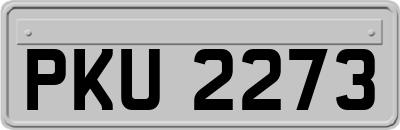 PKU2273